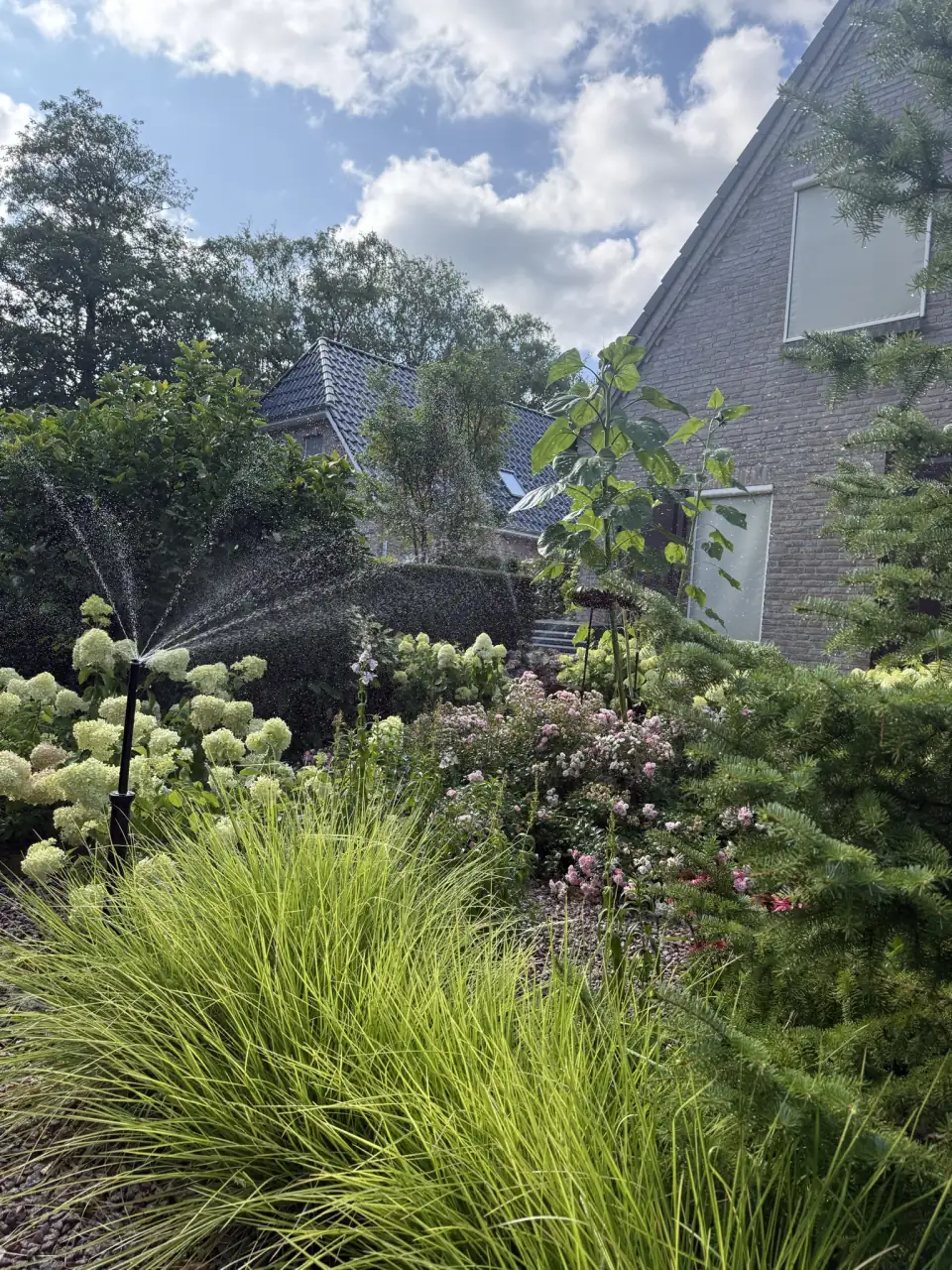 Project Assen