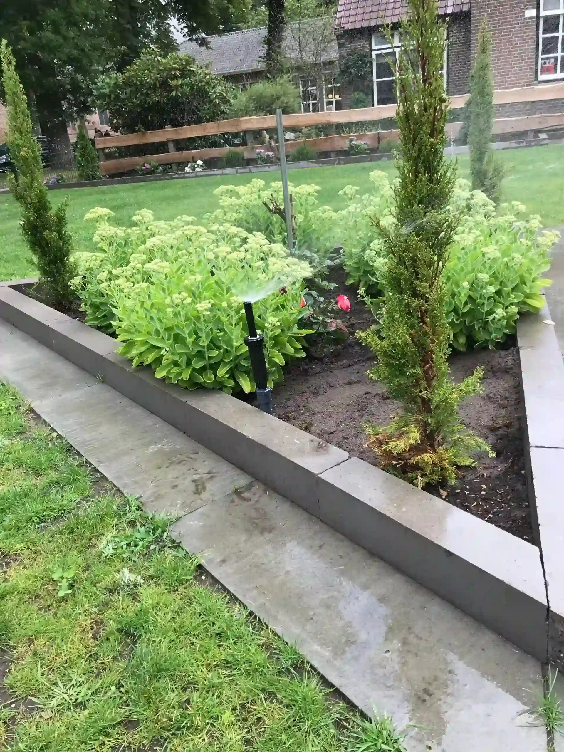 Project Sleen afbeelding 6